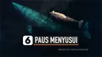 vertical paus