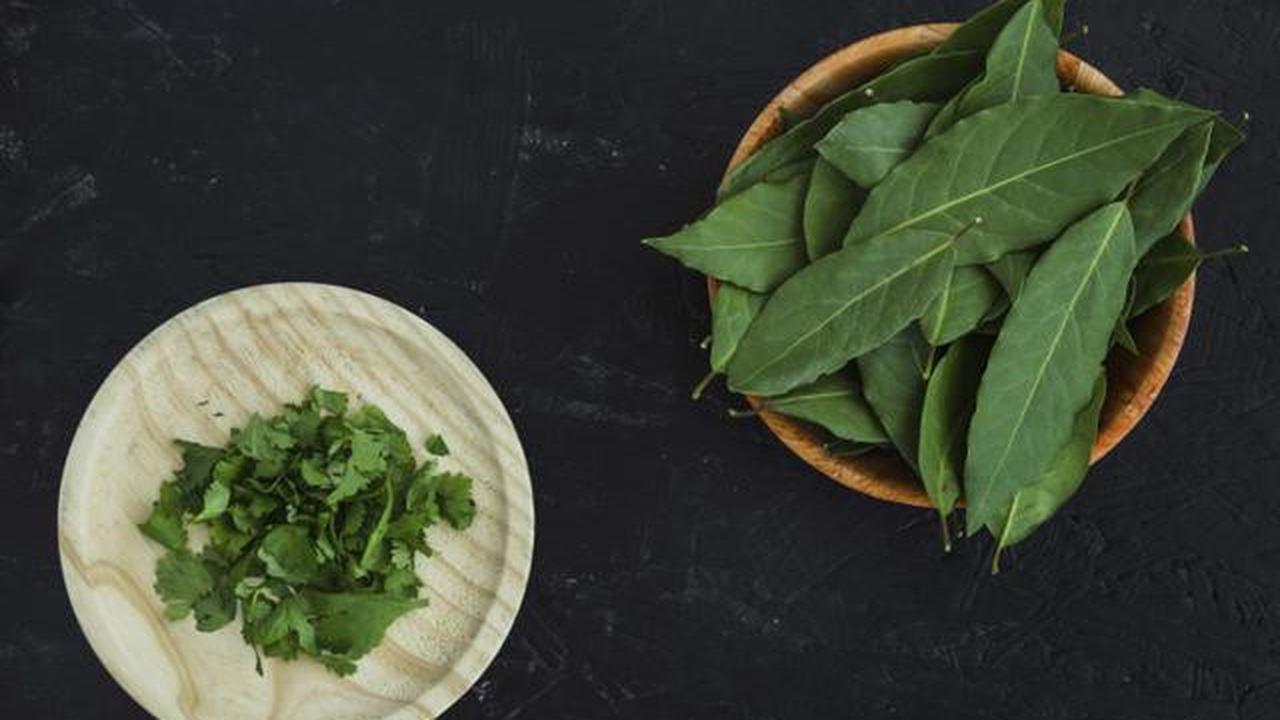Resep Sayur Bening Daun Katuk yang Sehat dan Lezat untuk Keluarga
