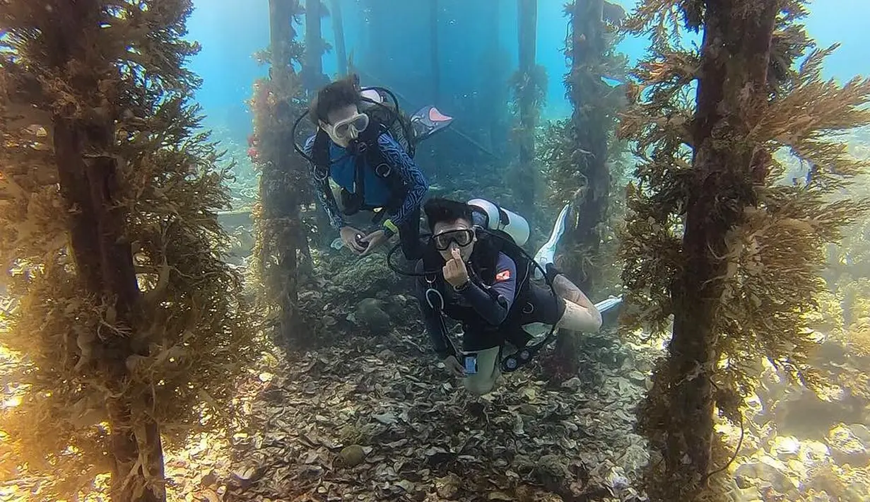 (Instagram/nadinelist)