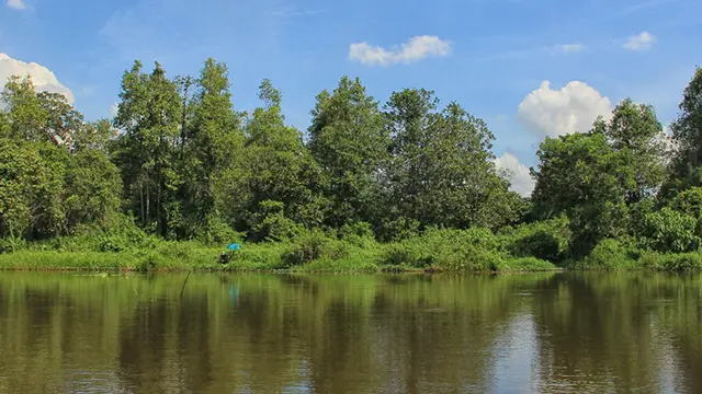 Hutan Wisata Punti Kayu