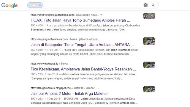 Gambar Tangkapan Layar Penelusuran Foto Menggunakan Google Images.