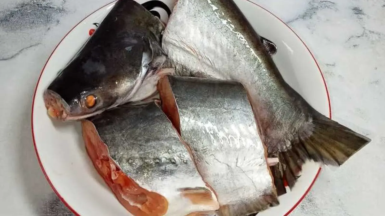 Trik Mudah Menghilangkan Bau Amis pada Ikan Patin, Wajib Dicoba di Rumah