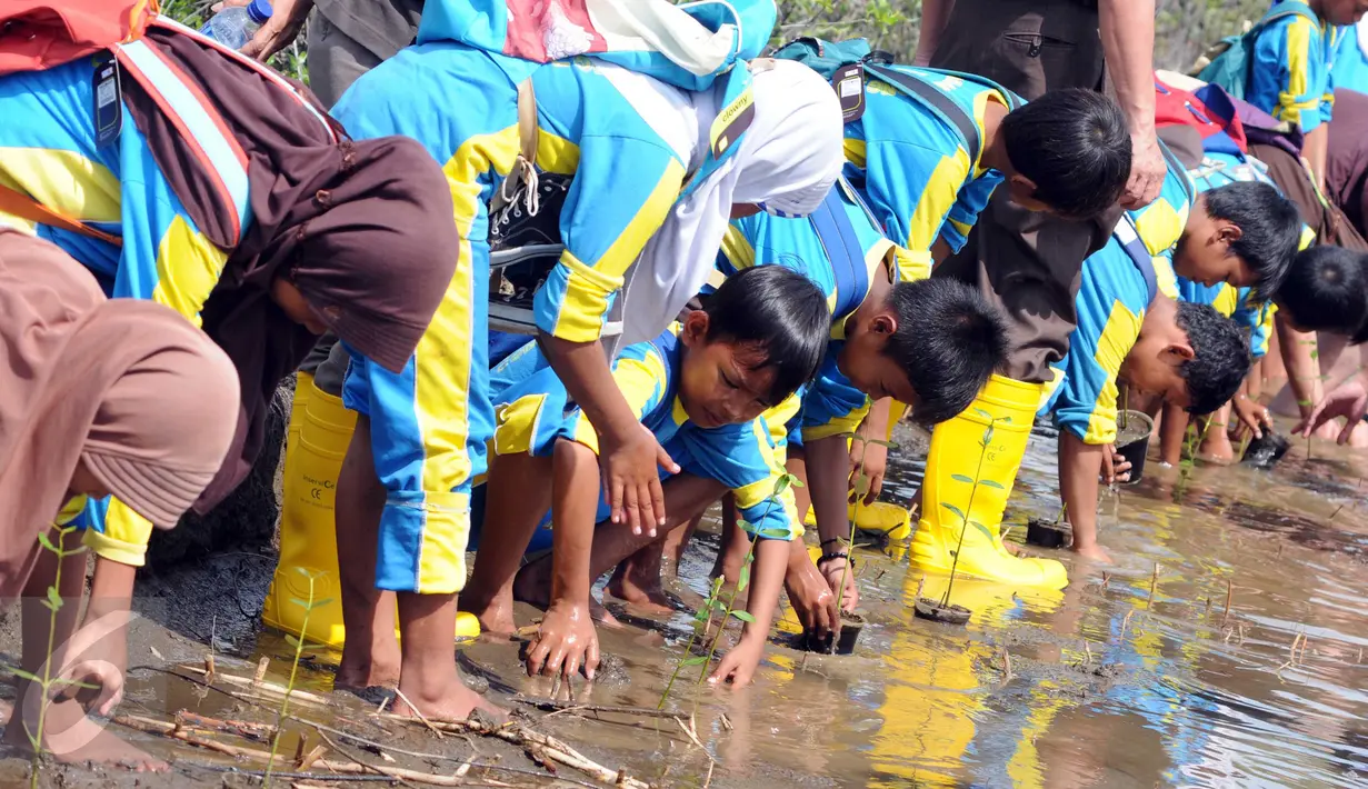 Pelajar melakukan penanaman mangrove saat kegiatan Pertamina Lestarikan Lingkungan di Hutan Mangrove Karangsong, Indramayu, Jumat (15/1). Kawasan tersebut merupakan Mangrove Center di Jabar yang memiliki lebih dari 15.000 bakau (Liputan6.com/Helmi Afandi)