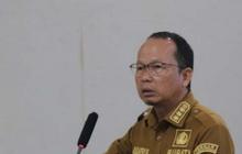 Inovasi Pertanian: Padi Gogo Bangka Tengah Tumbuh Subur di Lahan Sawit Remaja, Solusi Produktif Petani