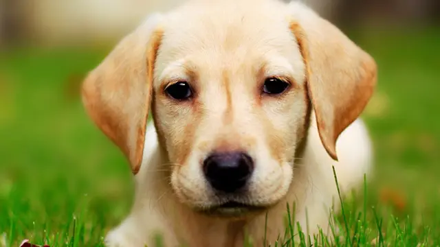 Foto: Copyright bublenews