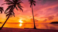 40 Quotes About Sunset for Your Instagram Captions
