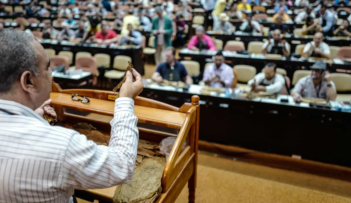 Seorang instruktur menunjukkan bagaimana menggulung Habano Cigar selama kelas master dalam Festival Havana Cigar ke-20 di Istana Konvensi di Havana, Kuba (28/2). (AFP Photo/Adalberto Roque)