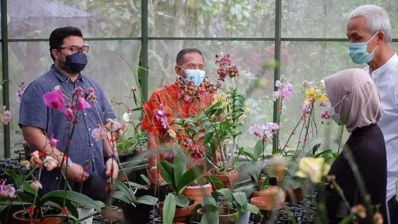 Pesona Anggrek