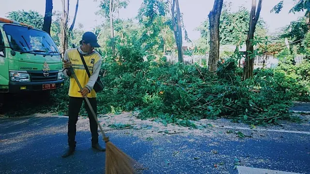 Potret Perantingan Pohon di Surabaya