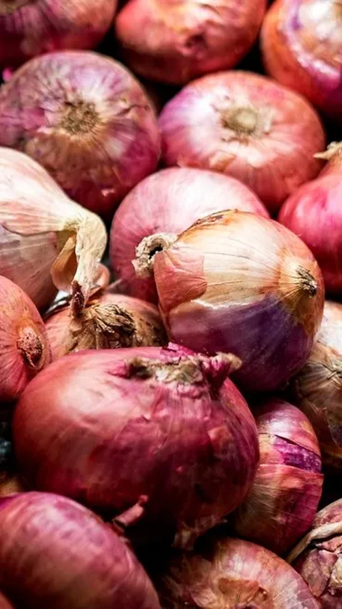 Bawang merah, yang memiliki nama ilmiah Allium cepa var ascalonicum (L), bukan hanya sekadar bumbu dapur dengan aroma khas, tetapi juga memiliki potensi untuk menjadi obat penurun panas anak yang ampuh.