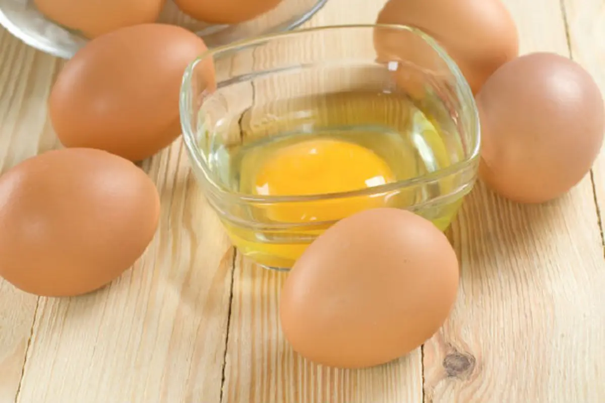telur