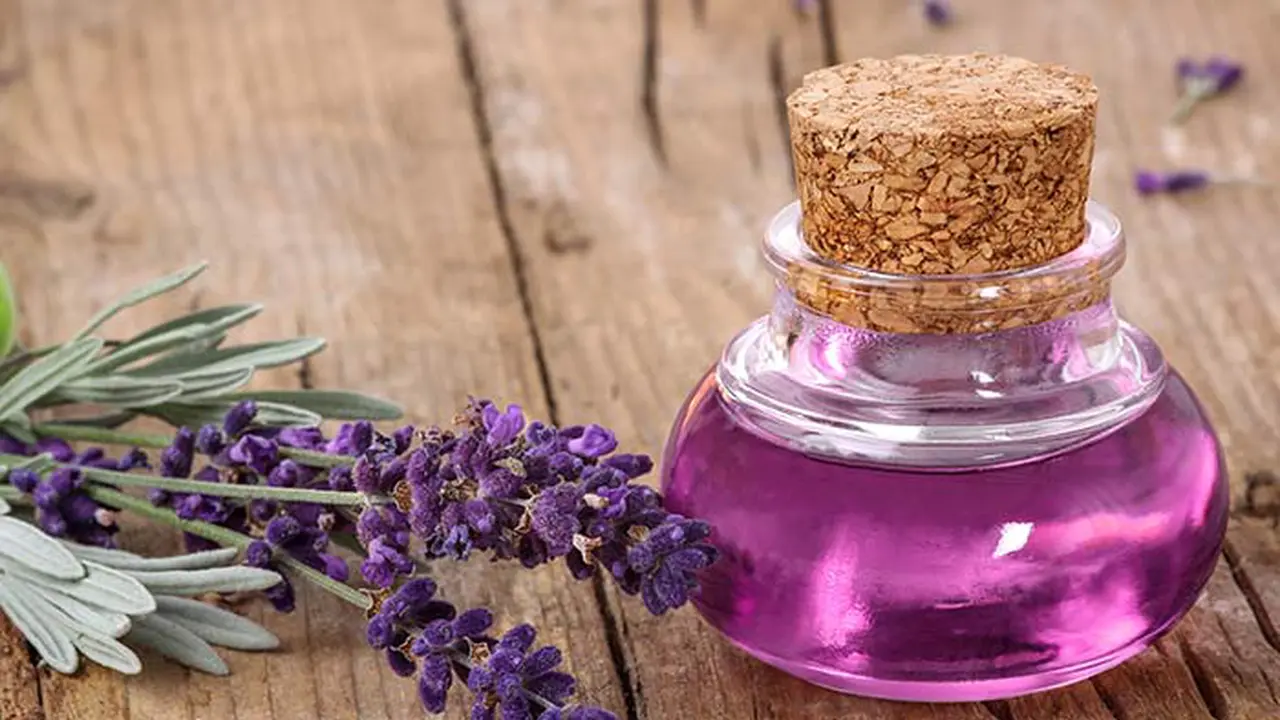 Lavender