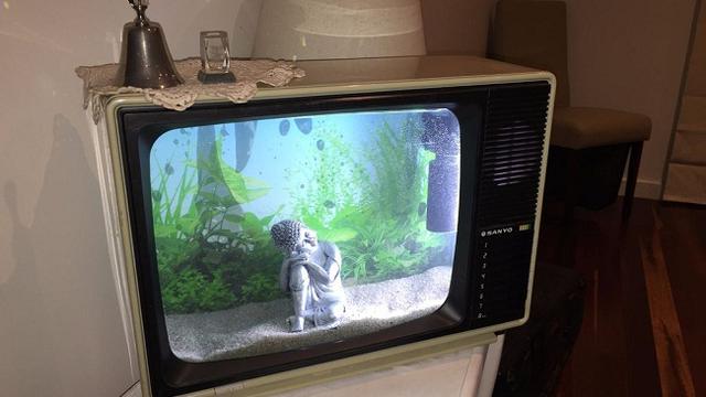 Cara Mudah Buat Akuarium Dari Televisi Bekas Lifestyle Liputan6 Com