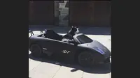 Kucing Termahal Punya Lamborghini Sendiri