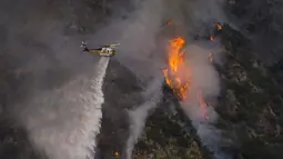 Sebuah helikopter menjatuhkan air ke Ranch Fire di Azusa, California, Amerika Serikat, 13 Agustus 2020. Gelombang panas menyulitkan petugas pemadam kebakaran yang sedang memerangi kebakaran semak dan kebakaran hutan di California Selatan. (AP Photo/Marcio Jose Sanchez)