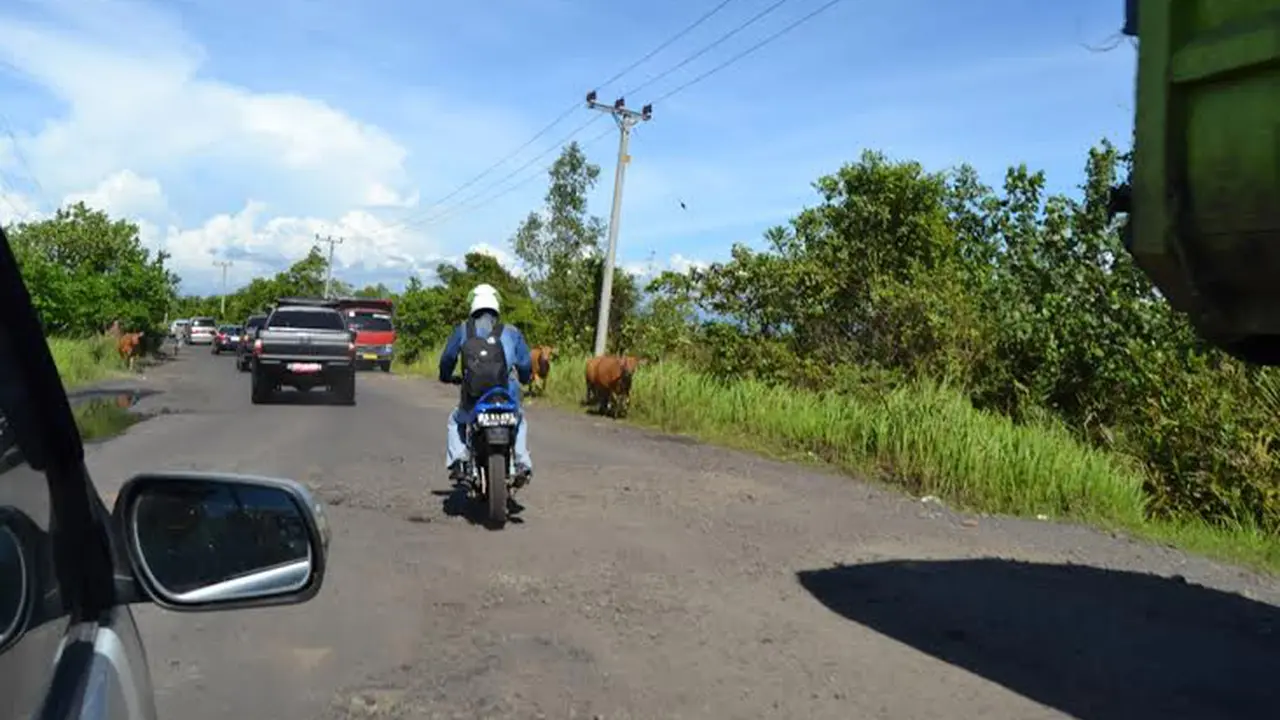 Jalan lintas barat Sumatera