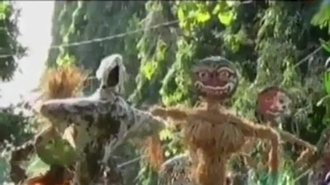 VIDEO: Festival Memedi Jaga Satwa Burung dari Perburuan Liar