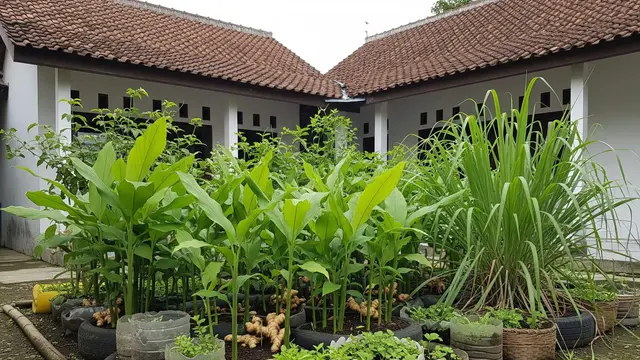 ide kebun di mushola kecil tanpa modal besar