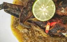 9 Resep Masakan Ikan Lele Berkuah, Lezat, Sederhana dan Mudah Dibuat