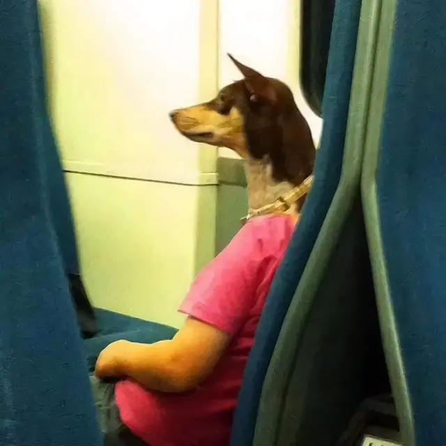 6 Potret Ilusi Optik Orang Berkepala Anjing Ini Bikin Mikir