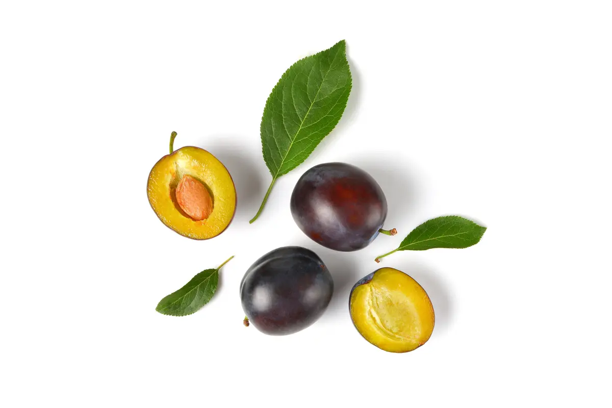 Plum oil bagus untuk kecantikan kulit