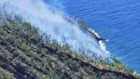 Kebakaran Melalap Vegetasi Gunung Iya di Ende NTT, Warga Diimbau Waspada