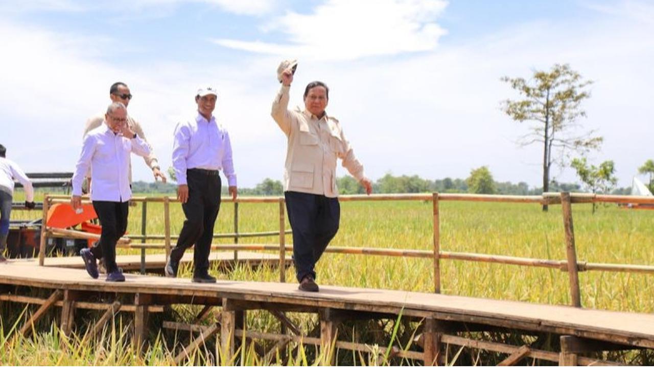 HPP Gabah Naik Rp6.500, Keberpihakan Presiden Prabowo Subianto untuk Petani Indonesia?
