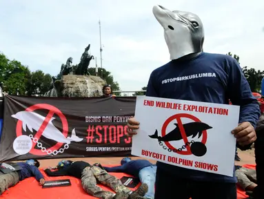 Aktivis JAAN membentangkan tulisan menolak eksploitasi hewan lumba-lumba di Jakarta, Senin (31/10). Mereka menolak pentas satwa lumba-lumba yang dilakoni di Ancol, Wersut Seguni Indonesia, dan Taman Safari Indonesia. (Liputan6.com/Helmi Fithriansyah)