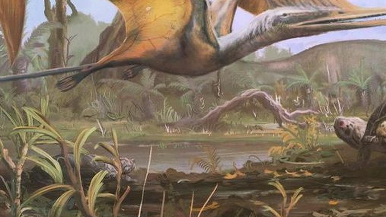 5. Cepatnya Penyebaran Kelompok Reptil Terbang<br>