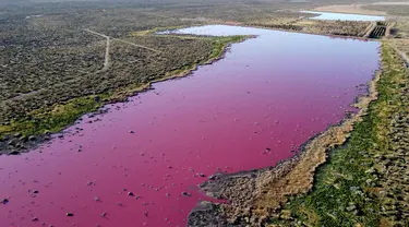 Pemandangan udara dari laguna yang berubah menjadi merah muda karena limbah industri perikanan, di provinsi Patagonian, Chubut, Argentina, pada 23 Juli 2021. Fenomena itu lantas membuka kontroversi pemerian izin perusahaan di Argentina. (DANIEL FELDMAN / AFP)