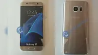 Foto varian Samsung Galaxy S7 muncul kepermukaan (Foto: pisapapeles)
