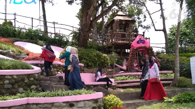 cinta 1000