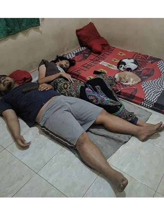 Kelakuan Orang Kelewat Sayang dengan Kucing Ini Bikin Geleng-Geleng