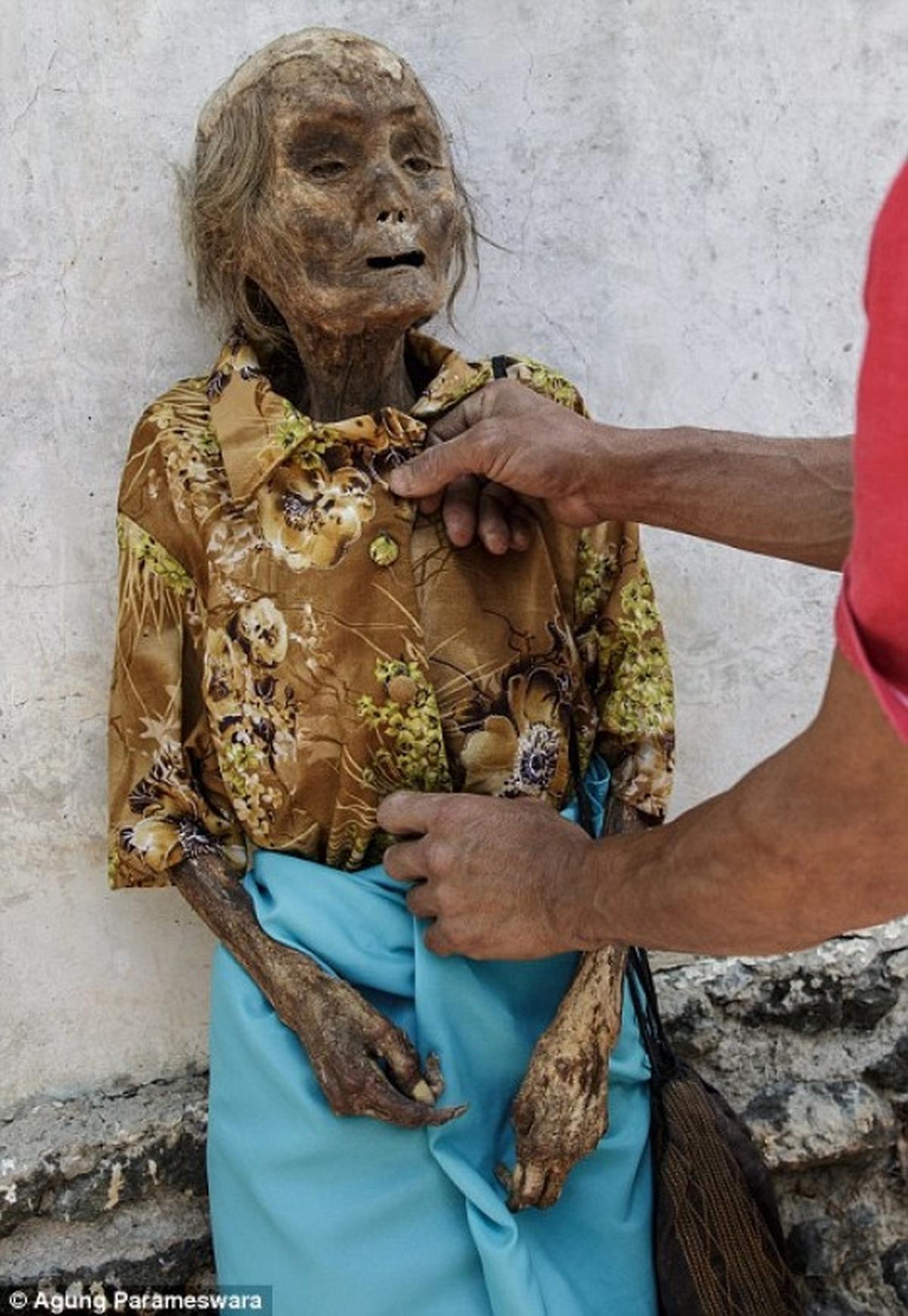 Menengok seramnya ritual tiga tahunan masyarakat Tana Toraja