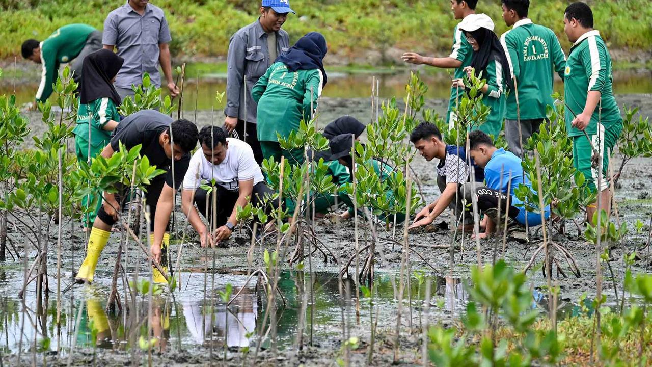 FOTO: Aksi Pelajar Aceh Menanam Mangrove Sambut Hari Sumpah Pemuda
