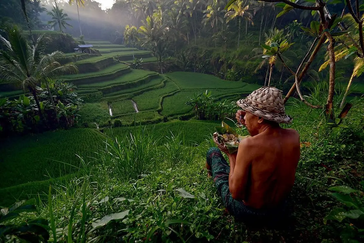 Terasering Ubud