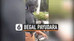 begal payudara