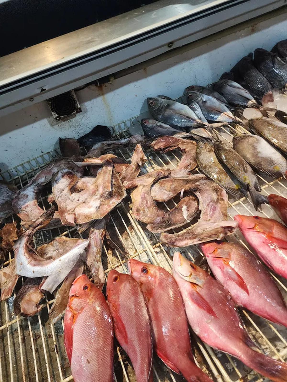 10 Rekomendasi Tempat Makan Ikan Bakar di Manado, Nikmati Kelezatan Cita Rasa Bumbu Khasnya