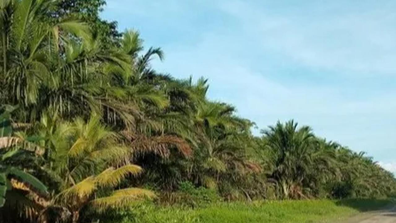 "Kita dapat melakukan hal yang sama di angkasa, seperti yang telah kita buktikan dengan sukses di daratan,"