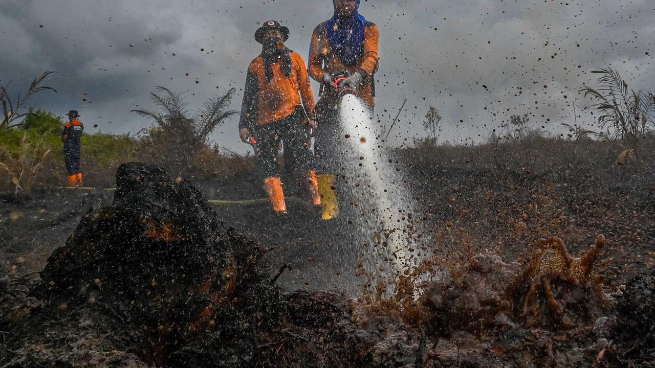 FOTO: Semangat Petugas BPBD Aceh Barat di Tengah Sulitnya Memadamkan Api di Hutan Gambut