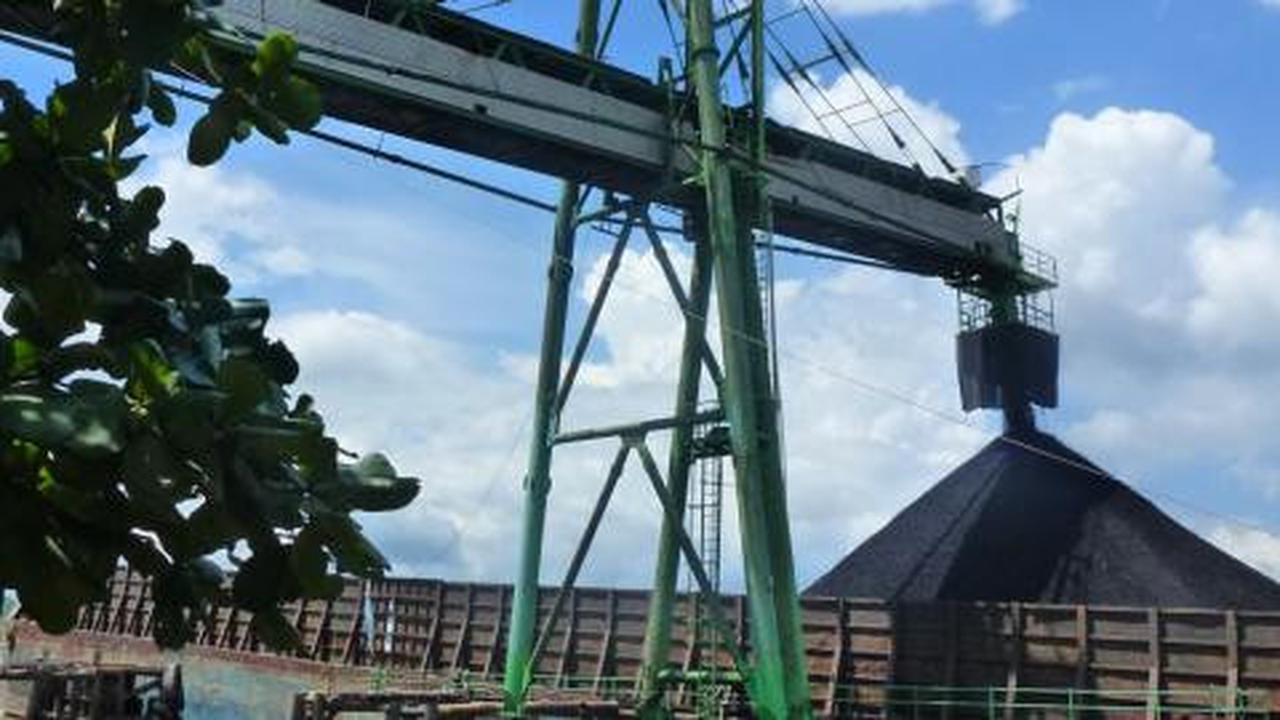  Petrosea anggarkan belanja modal USD 240 juta 