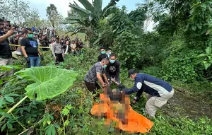 Teka-teki Tewasnya Pegawai Koperasi di Ladang Singkong