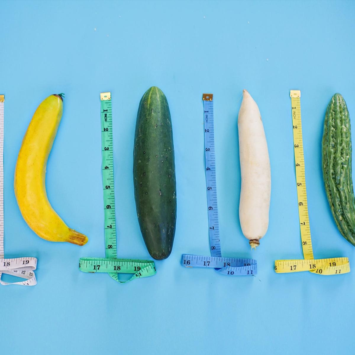 Ilustrasi Penis