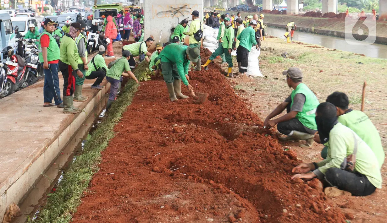 Sejumlah petugas Suku Dinas Pertamanan dan Hutan Kota merapikan lahan yang akan dibuat menjadi kawasan hijau di bawah kolong Tol Becakayu atau Bekasi-Cawang-Kampung Melayu, Jakarta, Kamis (5/1/2023). Pemprov DKI telah melakukan penataan kawasan hijau sepanjang 2,7 km dari target 5 km di kolong Tol Becakayu dengan tanaman hias dan sistem pertanian perkotaan (urban farming) yang berdampak pada sektor ketahanan pangan kota. (Liputan6.com/Herman Zakharia)