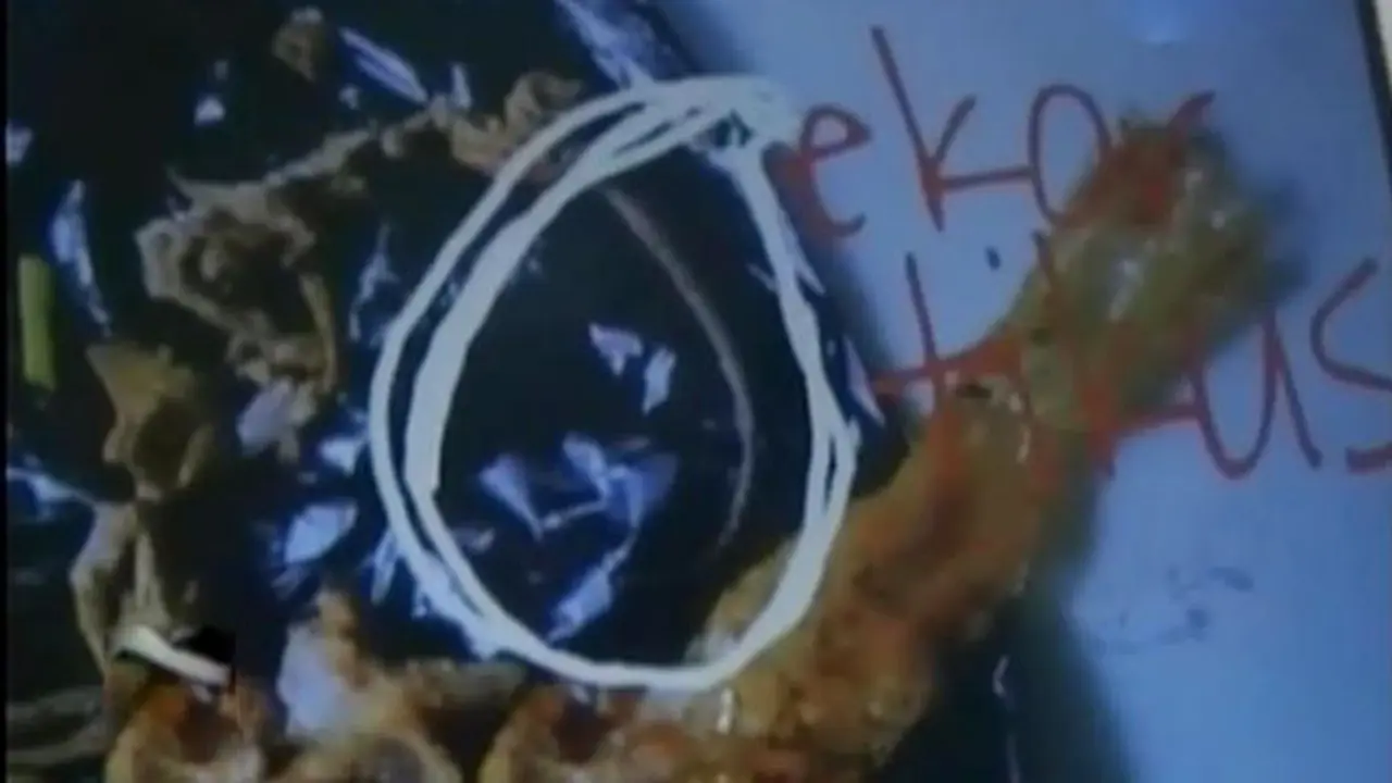 Lip6 Petang-Mie Tikus