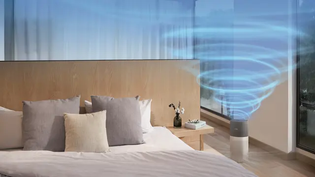 Philips Domestic Appliances