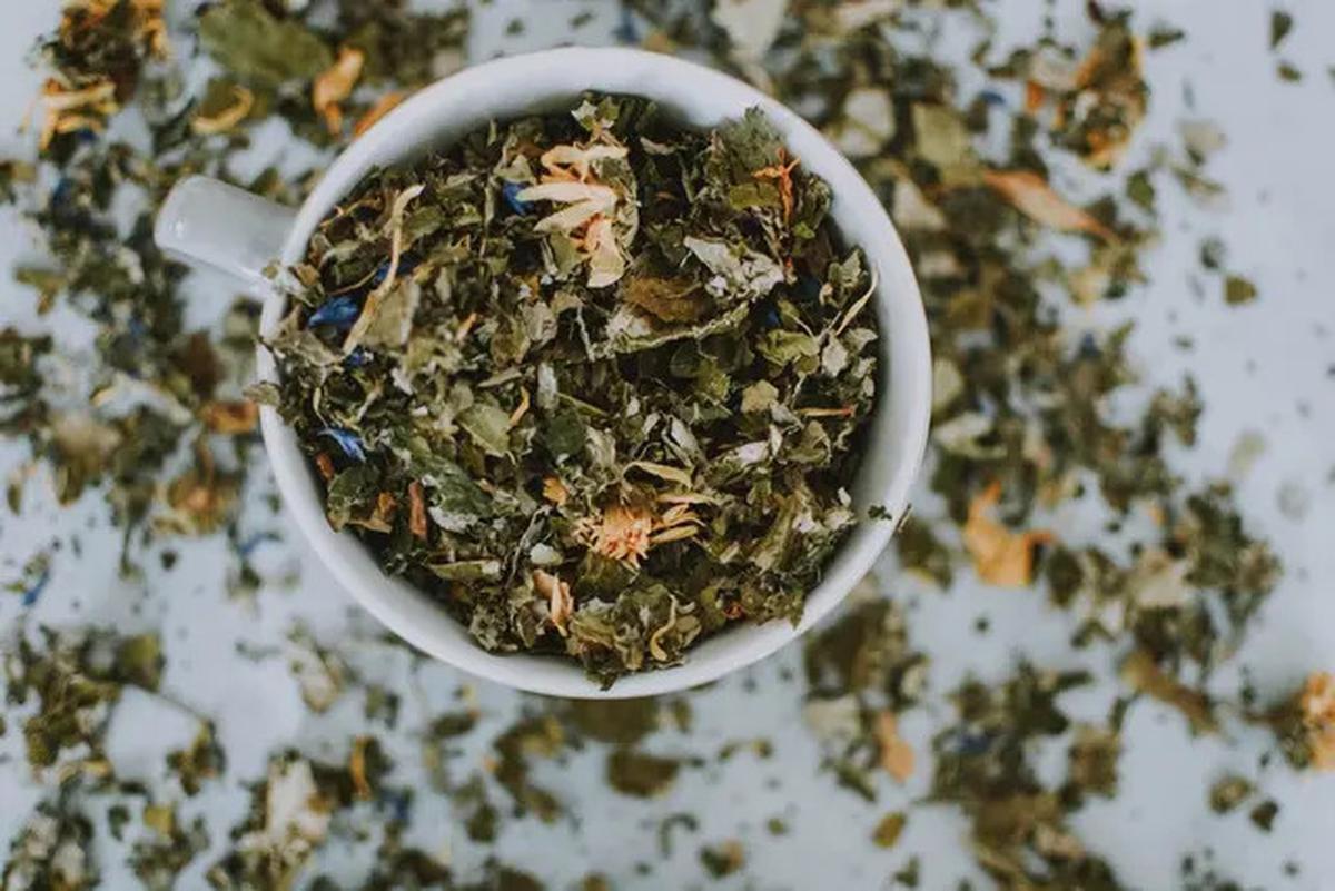 7 Manfaat Minum Teh Daun Mangga, Salah Satunya Mengontrol Kadar Gula Darah