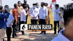 panen raya