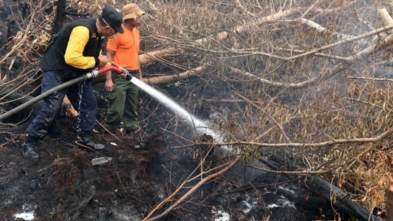 Melihat lebih dekat pemadaman kebakaran hutan Palangkaraya