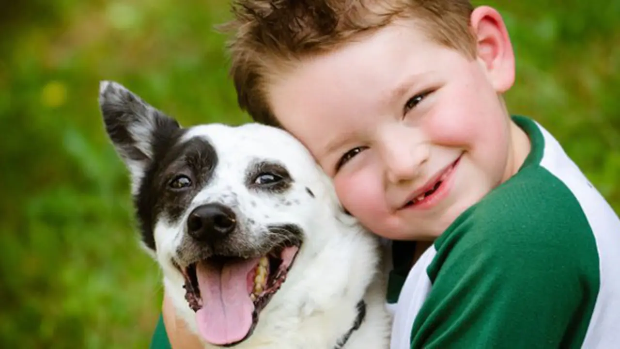 Foto: copyright Thinkstockphotos.com